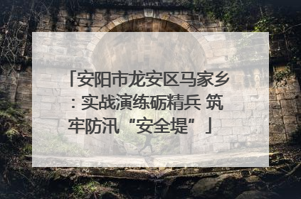 安阳市龙安区马家乡：实战演练砺精兵 筑牢防汛“安全堤”