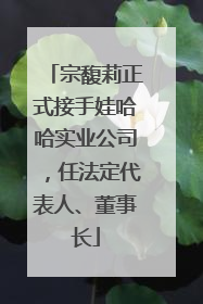 宗馥莉正式接手娃哈哈实业公司，任法定代表人、董事长