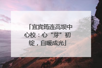 宜宾筠连蒿坝中心校：心“芽”初绽，自暖成光