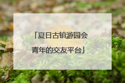 夏日古镇游园会 青年的交友平台