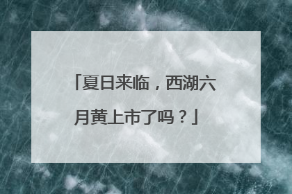 夏日来临，西湖六月黄上市了吗？