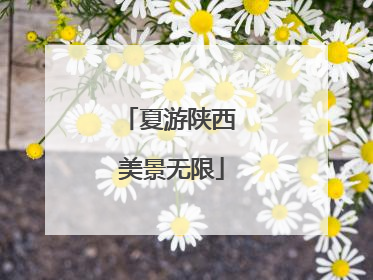 夏游陕西 美景无限