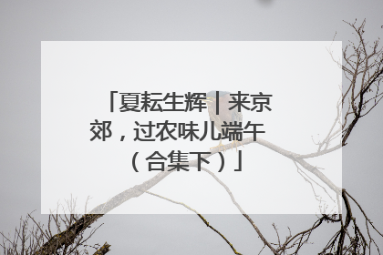 夏耘生辉｜来京郊，过农味儿端午（合集下）