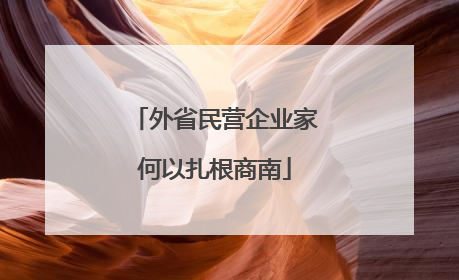 外省民营企业家何以扎根商南