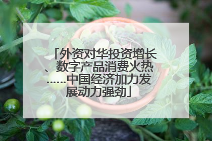 外资对华投资增长、数字产品消费火热……中国经济加力发展动力强劲