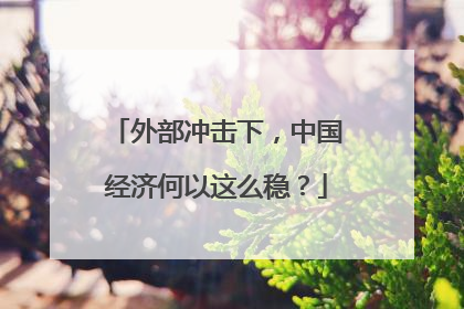 外部冲击下，中国经济何以这么稳？