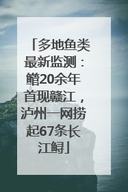多地鱼类最新监测：鳤20余年首现赣江，泸州一网捞起67条长江鲟