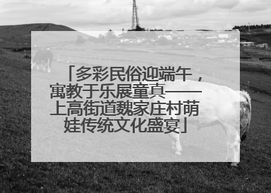 多彩民俗迎端午，寓教于乐展童真——上高街道魏家庄村萌娃传统文化盛宴