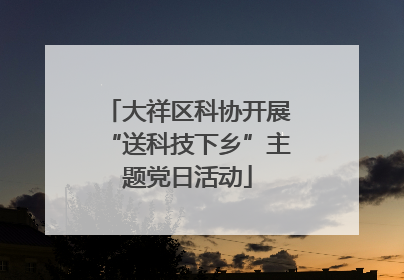 大祥区科协开展“送科技下乡”主题党日活动