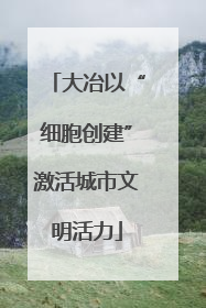 大冶以“细胞创建”激活城市文明活力