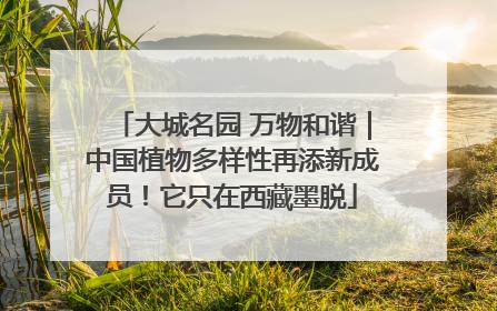 大城名园 万物和谐｜中国植物多样性再添新成员！它只在西藏墨脱