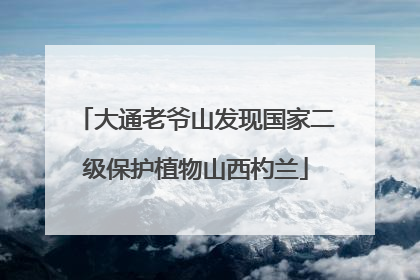 大通老爷山发现国家二级保护植物山西杓兰