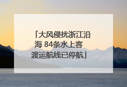 大风侵扰浙江沿海 84条水上客渡运航线已停航
