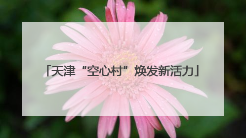 天津“空心村”焕发新活力