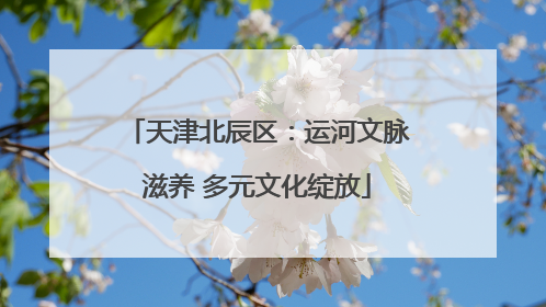 天津北辰区：运河文脉滋养 多元文化绽放