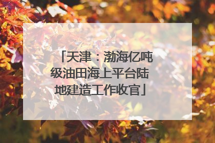 天津：渤海亿吨级油田海上平台陆地建造工作收官