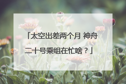 太空出差两个月 神舟二十号乘组在忙啥？