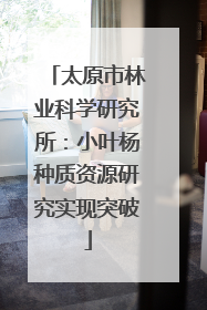 太原市林业科学研究所：小叶杨种质资源研究实现突破