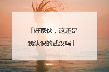 好家伙，这还是我认识的武汉吗