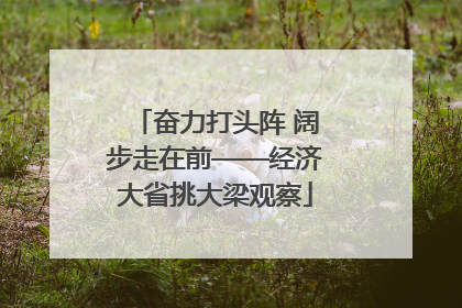 奋力打头阵 阔步走在前——经济大省挑大梁观察