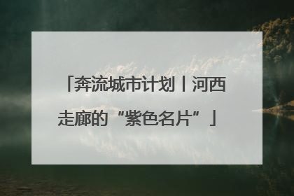 奔流城市计划丨河西走廊的“紫色名片”