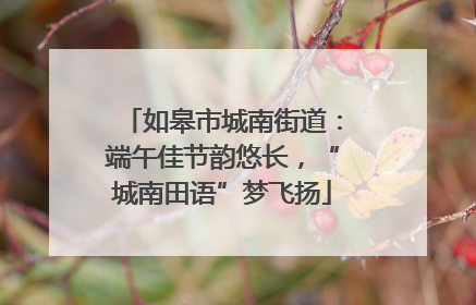 如皋市城南街道：端午佳节韵悠长，“城南田语”梦飞扬