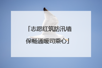 志愿红筑防汛墙 保畅通暖司乘心