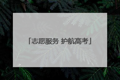 志愿服务 护航高考