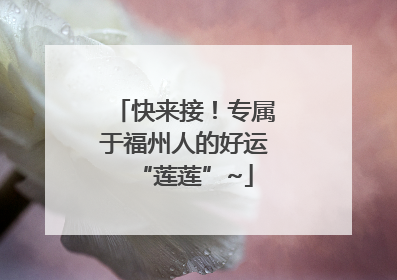 快来接！专属于福州人的好运“莲莲”~