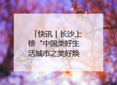 快讯｜长沙上榜“中国美好生活城市之美好焕新典范城市”