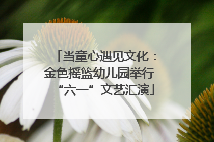 当童心遇见文化：金色摇篮幼儿园举行“六一”文艺汇演