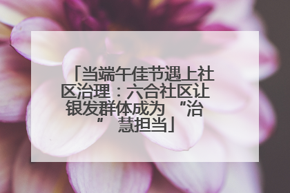 当端午佳节遇上社区治理：六合社区让银发群体成为 “治” 慧担当
