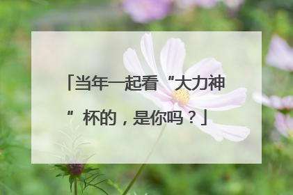 当年一起看“大力神”杯的，是你吗？