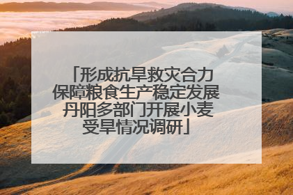 形成抗旱救灾合力 保障粮食生产稳定发展 丹阳多部门开展小麦受旱情况调研