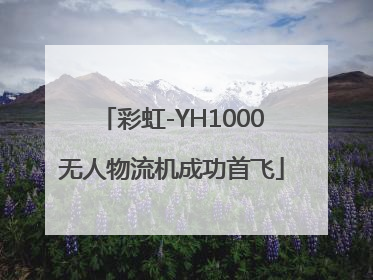 彩虹-YH1000无人物流机成功首飞