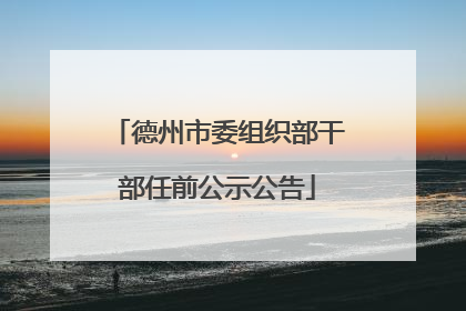 德州市委组织部干部任前公示公告