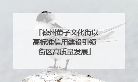 德州董子文化街以高标准信用建设引领街区高质量发展