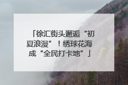 徐汇街头邂逅“初夏浪漫”！绣球花海成“全民打卡地”