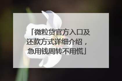微粒贷官方入口及还款方式详细介绍，急用钱周转不用慌
