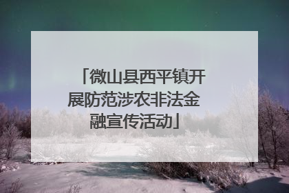 微山县西平镇开展防范涉农非法金融宣传活动