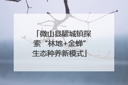 微山县驩城镇探索“林地+金蝉”生态种养新模式