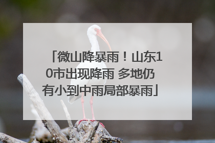 微山降暴雨！山东10市出现降雨 多地仍有小到中雨局部暴雨