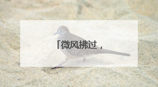 微风拂过，露台生金！