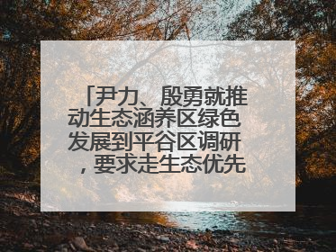 尹力、殷勇就推动生态涵养区绿色发展到平谷区调研，要求走生态优先、绿色低碳的高质量发展之路