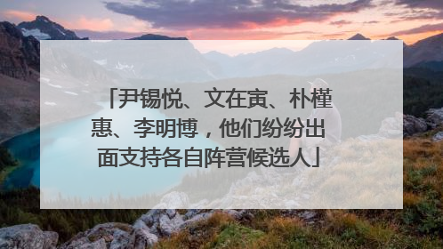 尹锡悦、文在寅、朴槿惠、李明博，他们纷纷出面支持各自阵营候选人