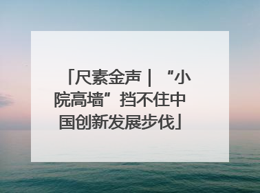 尺素金声｜“小院高墙”挡不住中国创新发展步伐