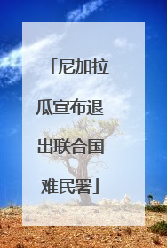 尼加拉瓜宣布退出联合国难民署