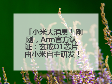 小米大消息！刚刚，Arm官方认证：玄戒O1芯片由小米自主研发！雷军此前称已开始大规模量产