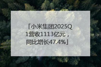 小米集团2025Q1营收1113亿元，同比增长47.4%