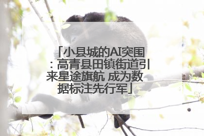 小县城的AI突围：高青县田镇街道引来星途旗航 成为数据标注先行军